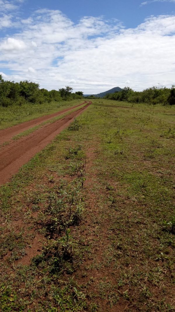 Farm in Narok Havilaplus Estates Limited