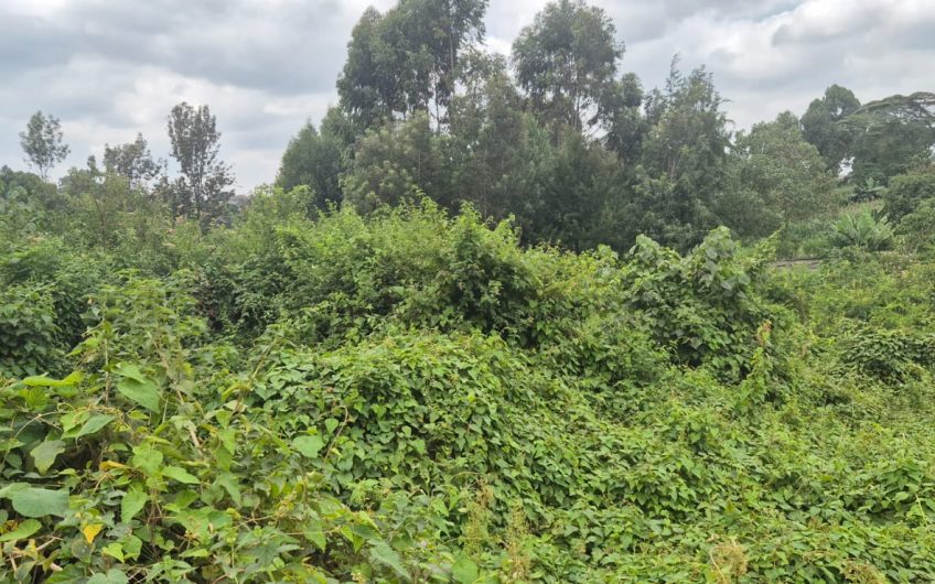 Prime ½-Acre Plot for Sale – Uthiru