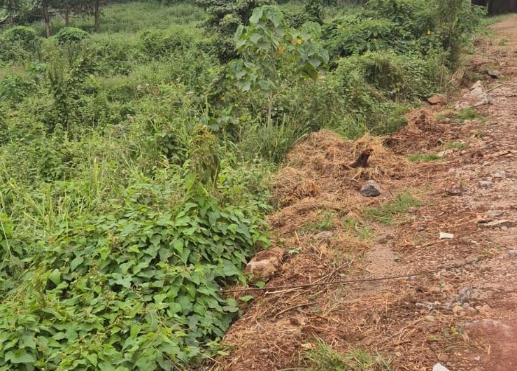 Prime ½-Acre Plot for Sale – Uthiru