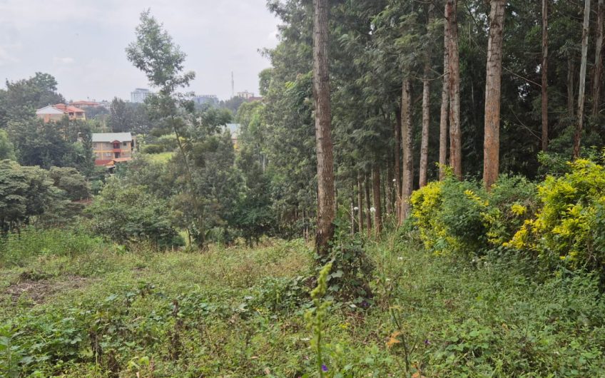 2 Prime Side-by-Side Plots for Sale in Ruaka – KES 38M Each