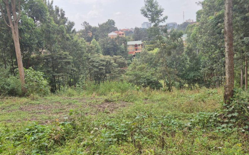 2 Prime Side-by-Side Plots for Sale in Ruaka – KES 38M Each