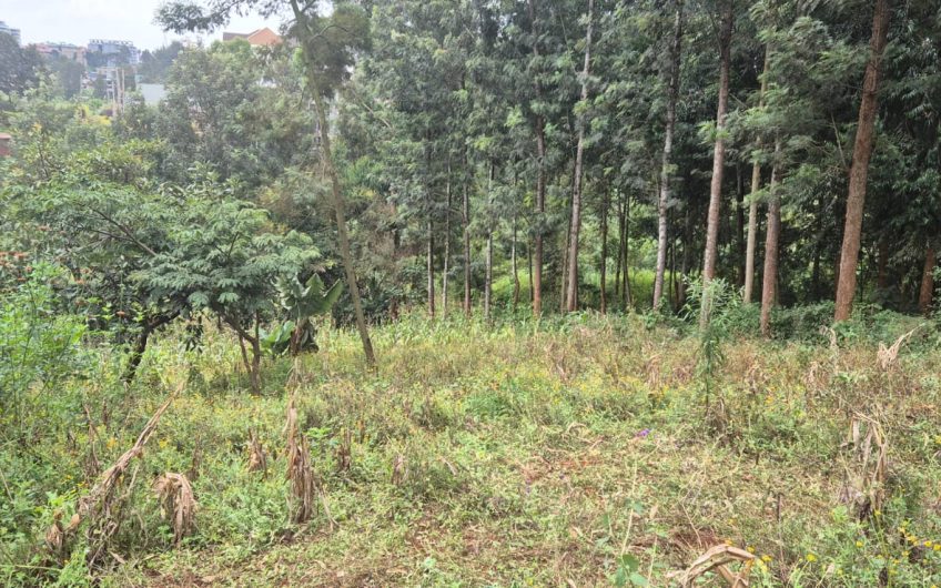 2 Prime Side-by-Side Plots for Sale in Ruaka – KES 38M Each