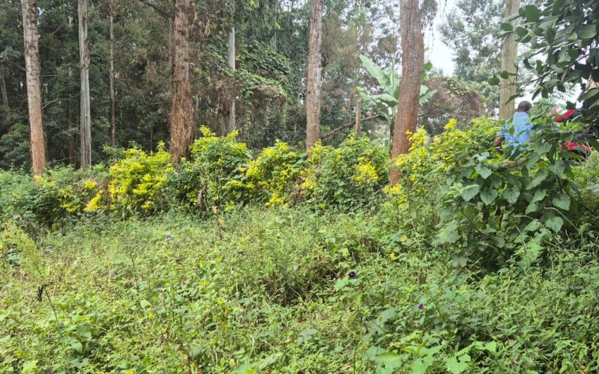 2 Prime Side-by-Side Plots for Sale in Ruaka – KES 38M Each