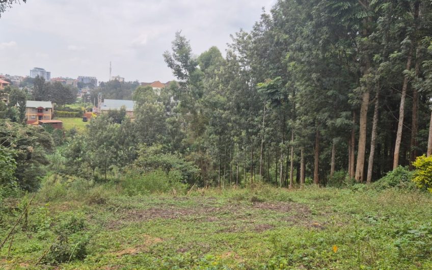 2 Prime Side-by-Side Plots for Sale in Ruaka – KES 38M Each