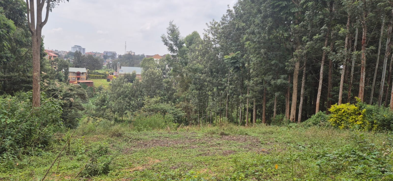 2 Prime Side-by-Side Plots for Sale in Ruaka – KES 38M Each